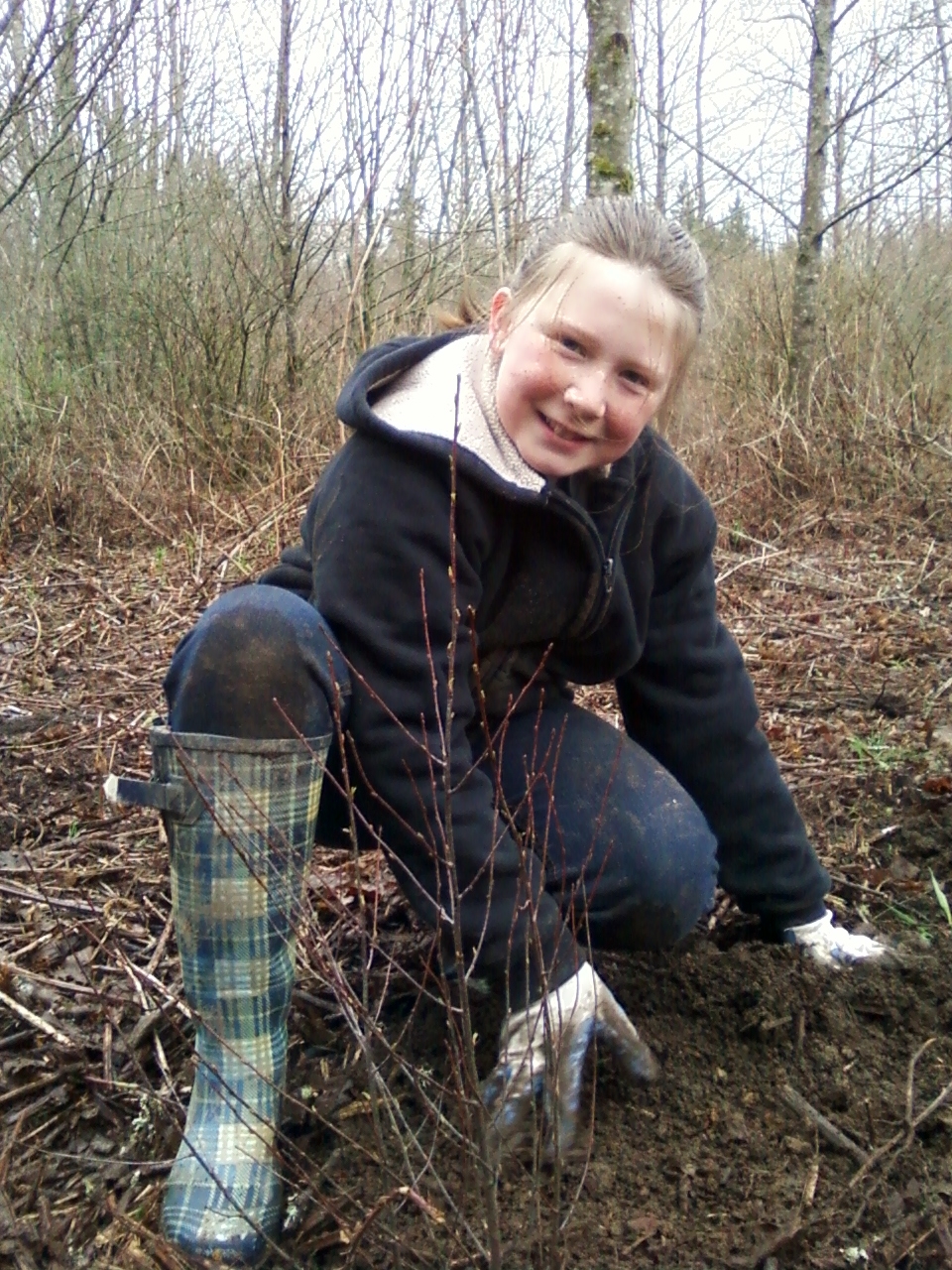 Butler Creek Planting.JPG Butler Creek Planting.JPG